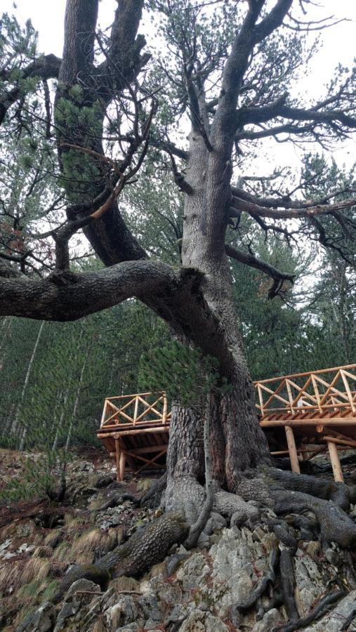 500М. От Лифта Сладък Дом В Белведере Спа Комплекс Bansko Exterior foto
